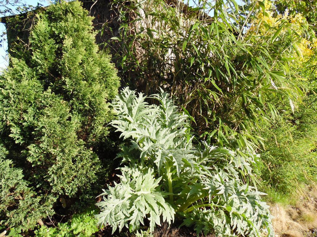 Gites Mont Saint Michel "Aucoeurdelabaie" Sains Εξωτερικό φωτογραφία